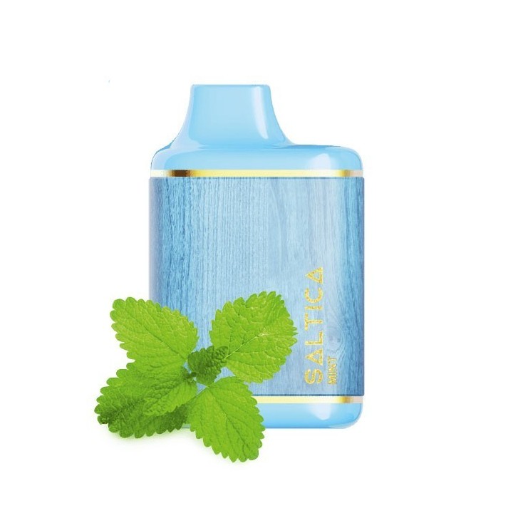 Saltica Leather 7000 Kullan At Nane (Mint) Mavi Tek Kullanımlık Elektronik Sigara