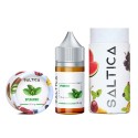 Saltica Spearmint Salt Likit 50mg şişe ve kutu ambalajı