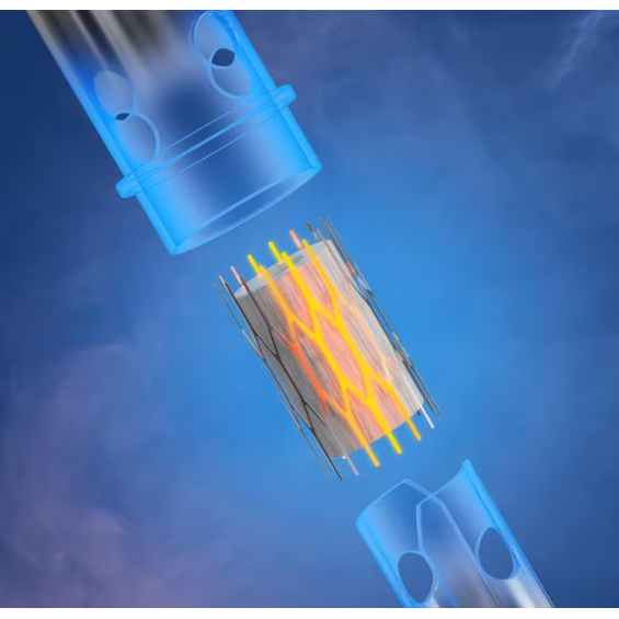 Aspire Vilter Fun Pod Mod Kartuş Isıtıcı Eleman İçi Görünüm